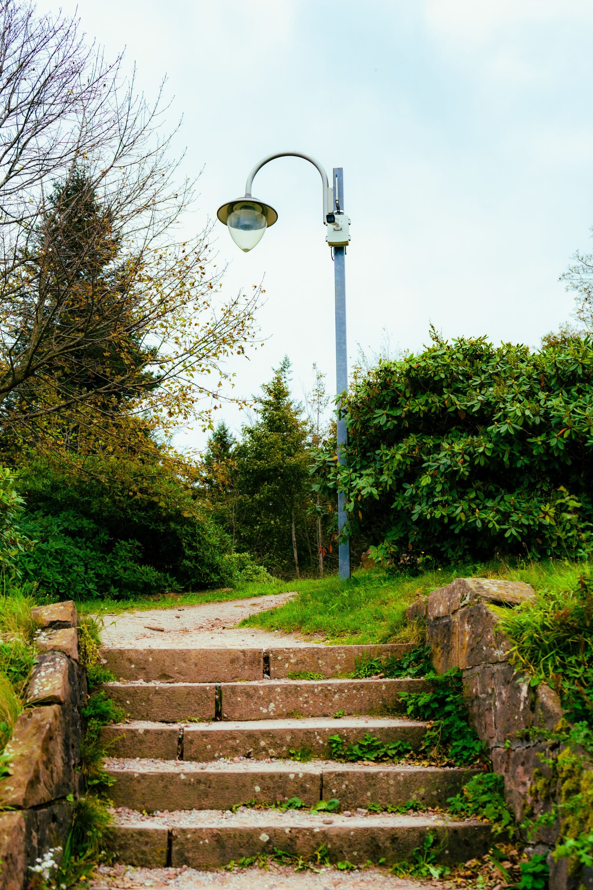 Steps